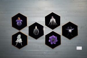 2d0c00e35b03d0590442de36e5b4bf2f