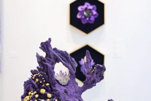 b76230abc5bf03445bac730a7217f716