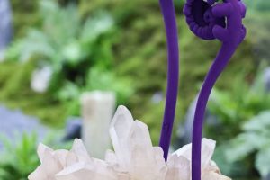 ea99135bd4647de96d65edb5eb84b8e8